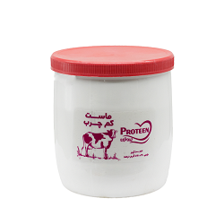 دامداران ماست پروتئین کم چرب1000 گرم